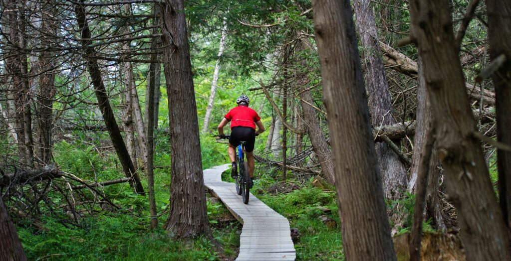 Mountain biker traverses a wooden platform winding through the woods in summer.