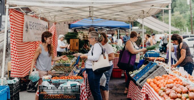 Vendors and patrons are seen shopping an outdoor farmers market.