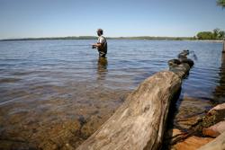 A person standing in clear water outside in the summer fishes in a lake.