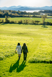 Seen from behind, two people hold hands and walk through a field on a bright, sunny day.