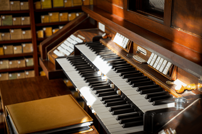 Sun shines on a preserved chordophone at Hildene.