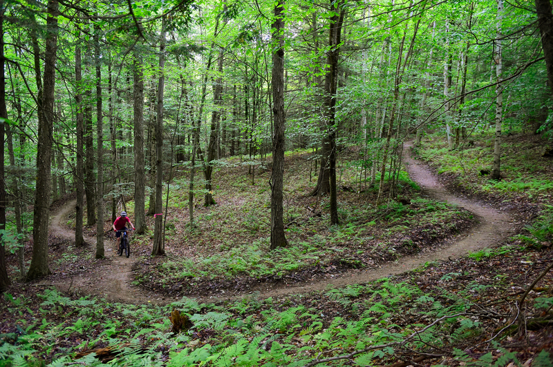 A biker climbs a forest mountain biking trail at Montpelier's North Branch Trails.