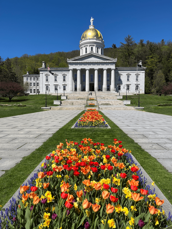 Flowers lead the eye to the Vermont State House during spring blossom.