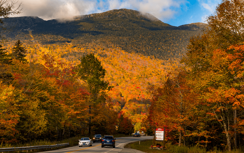 The busy roadway of route 108 during peak foliage in autumn.