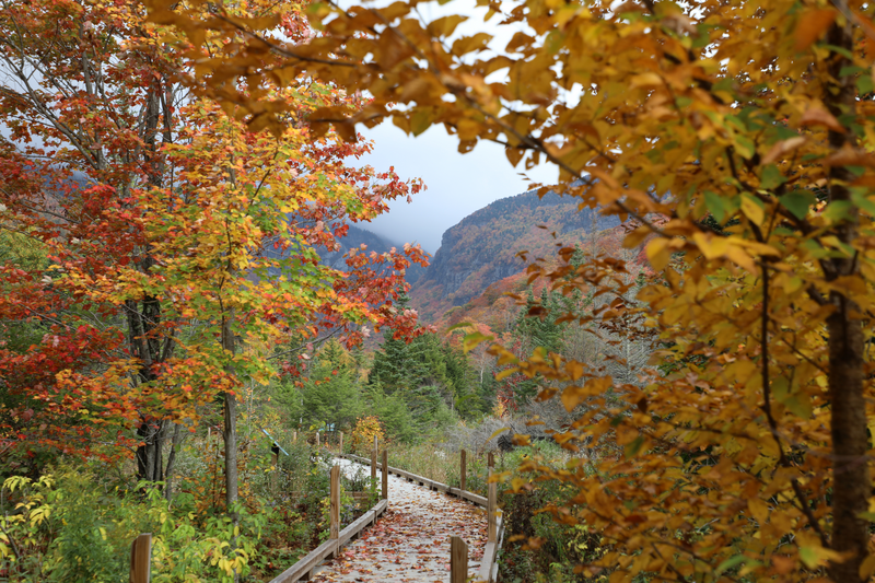 A boardwalk leads to a rugged mountain view in the fall.
