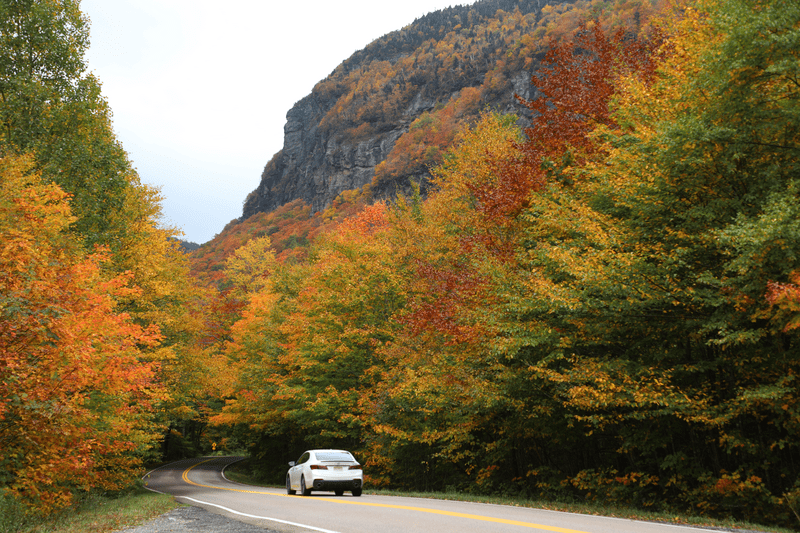 A white car drives down a windy road lined with yellow, orange, and red trees. There is a dramatic cliff in the distance.