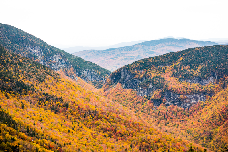 Orange and yellow fall leaves cover mountains.