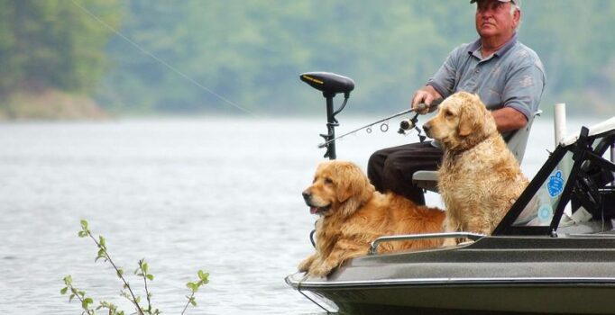 A person and two dogs in a boat fishing on a lake in Vermont.