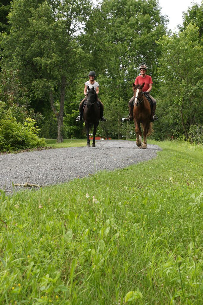 Two people on horseback follow a gravel path on a sunny day.