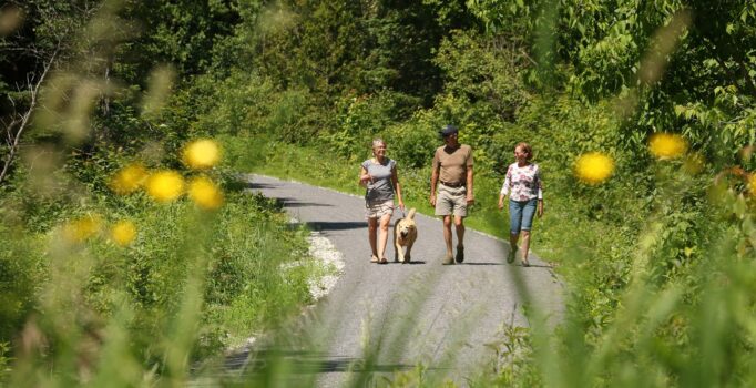 Three people walk along a paved path with a dog in the summer.