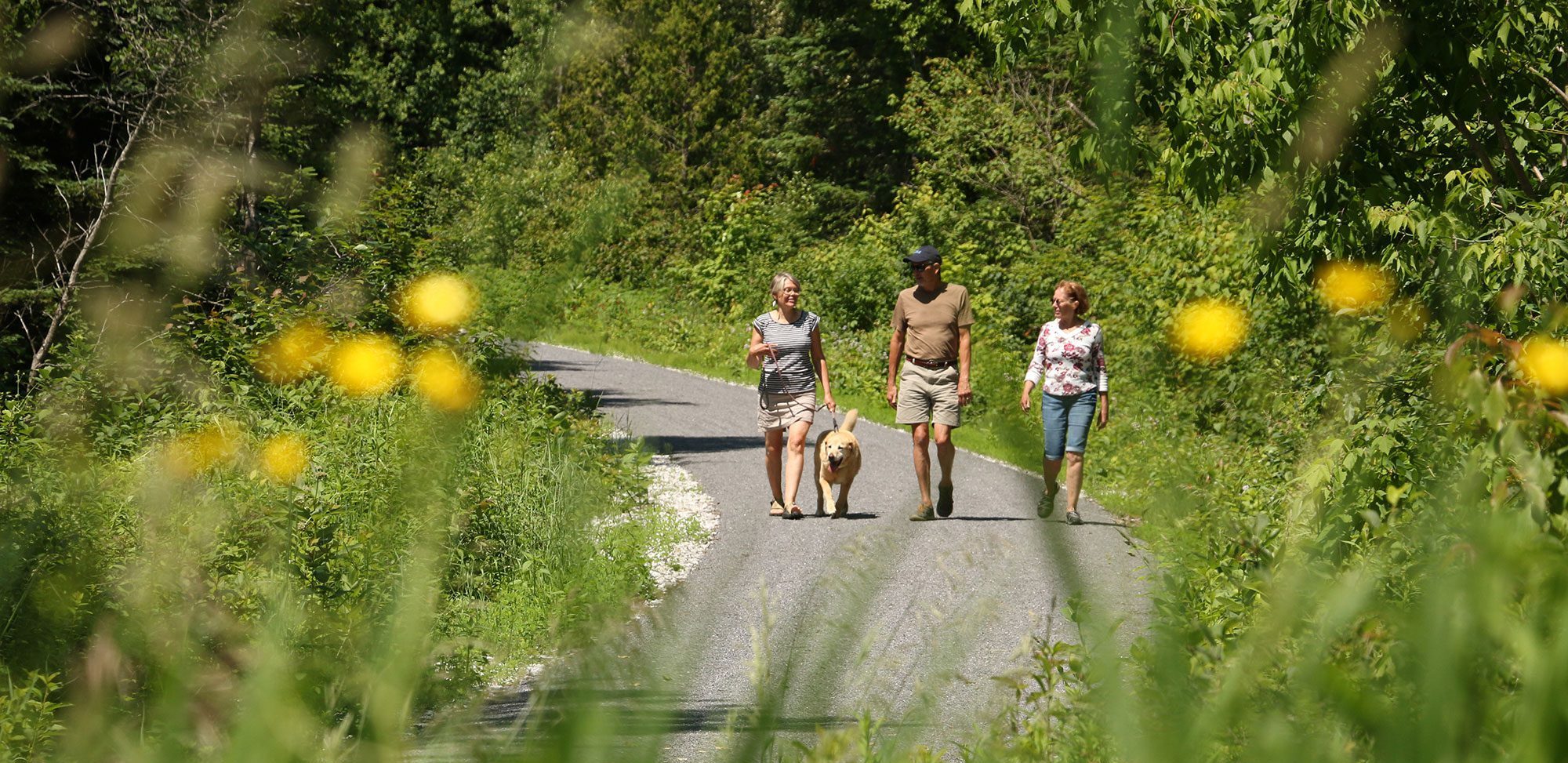 Lamoille Valley Rail Trail | Vermont Tourism