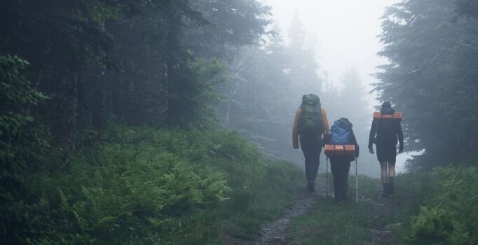 Three people, with backpacks, walk along a dirt path through the woods.