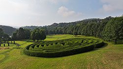 Sculpted green shrubs form a maze in a green field.