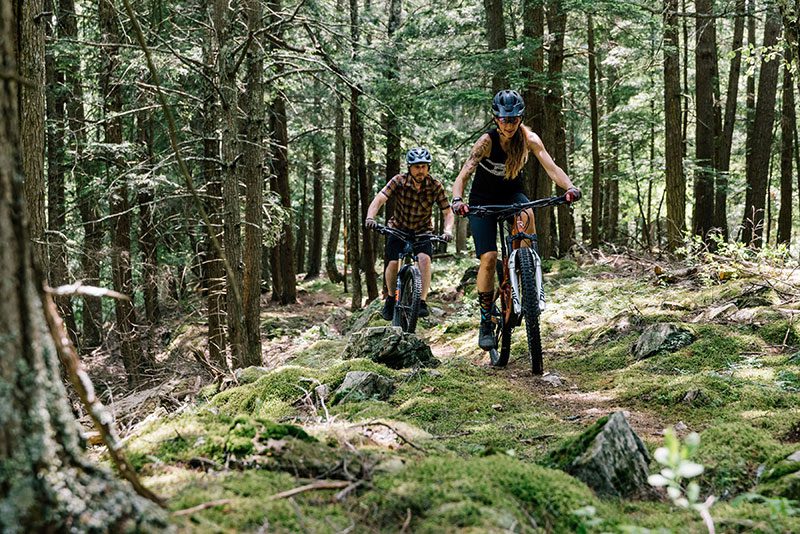 Two people ride mountain bikes toward the camera across a mossy forest trail.