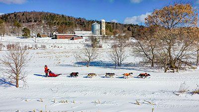 Ariel view of a dog sled, pulled by a team of dogs, along a snow-covered path.