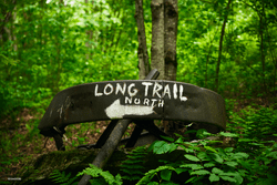 A rustic trail sign is in the woods and reads 