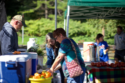People shop produce at an outdoor farmers market.