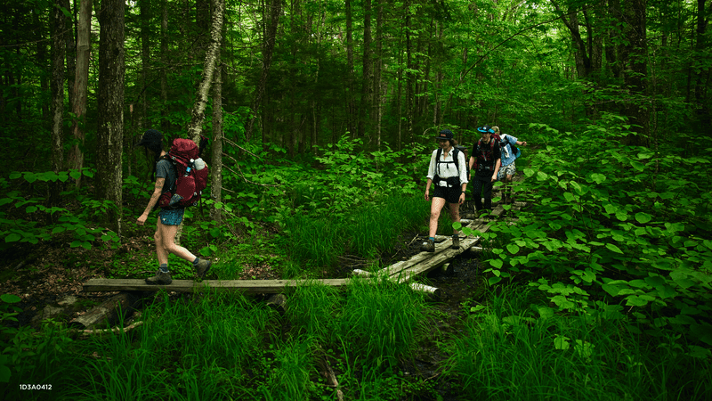 Three people hike along a boardwalk path through lush green woods.