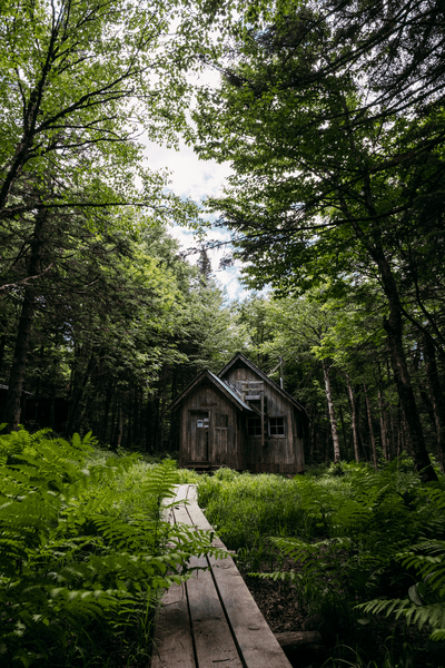 A boardwalk trail passes by a cabin in the woods.