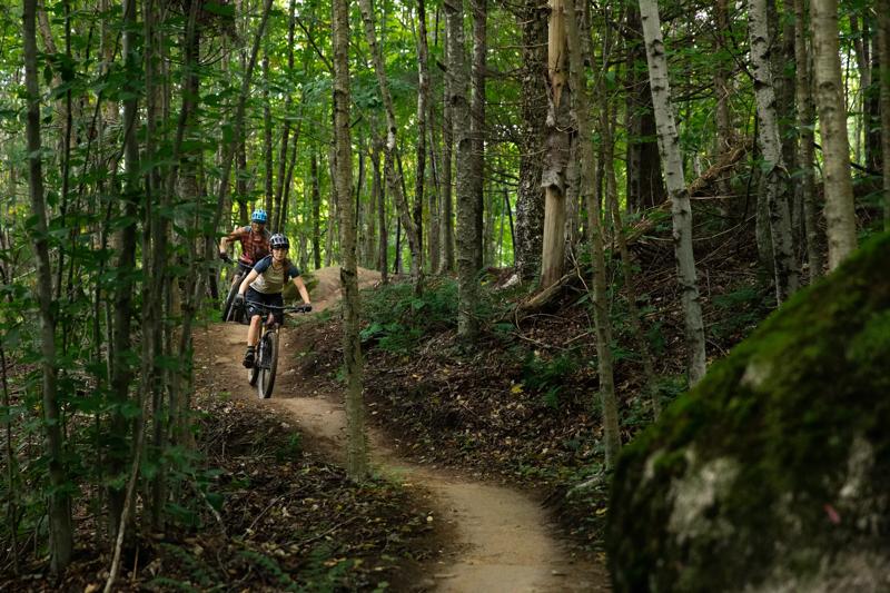 Two mountain bikers riding through the forest on a dirt trail with thick trees surrounding.