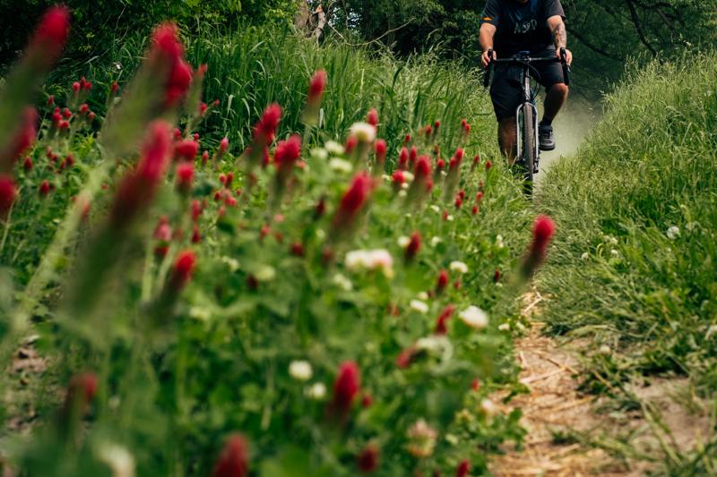 Low-angle view of a mountain biker riding towards the camera on a dirt trail, framed by red wildflowers and tall grass.