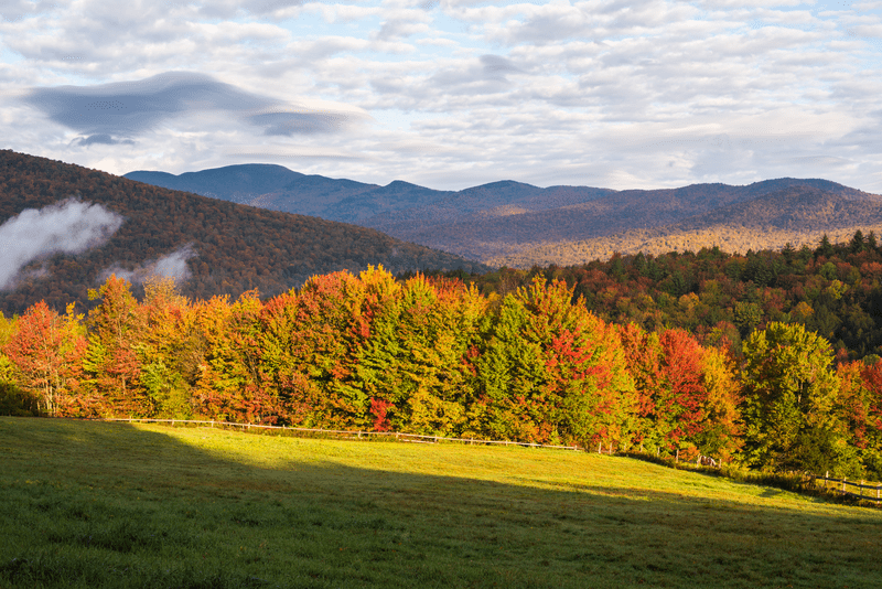 A variety of colors overtake the tree line on Greeg Hill Farm Road, Waterbury.