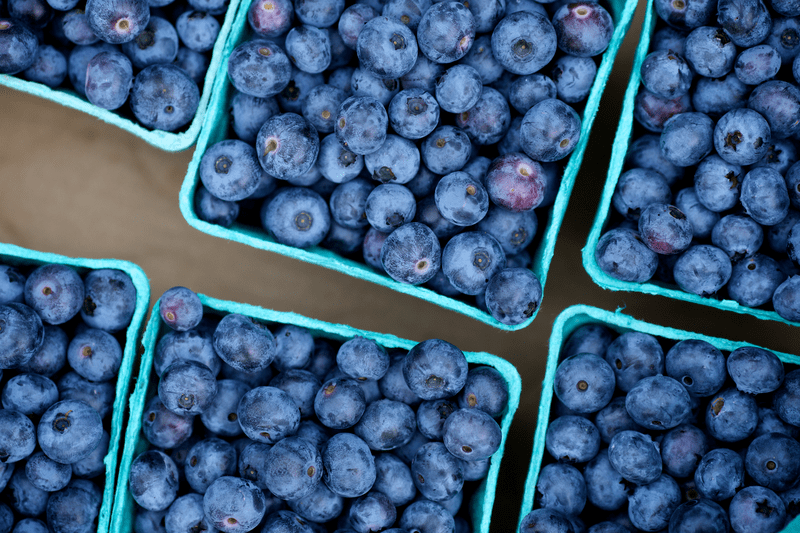 A closeup shot of containers of blueberries.