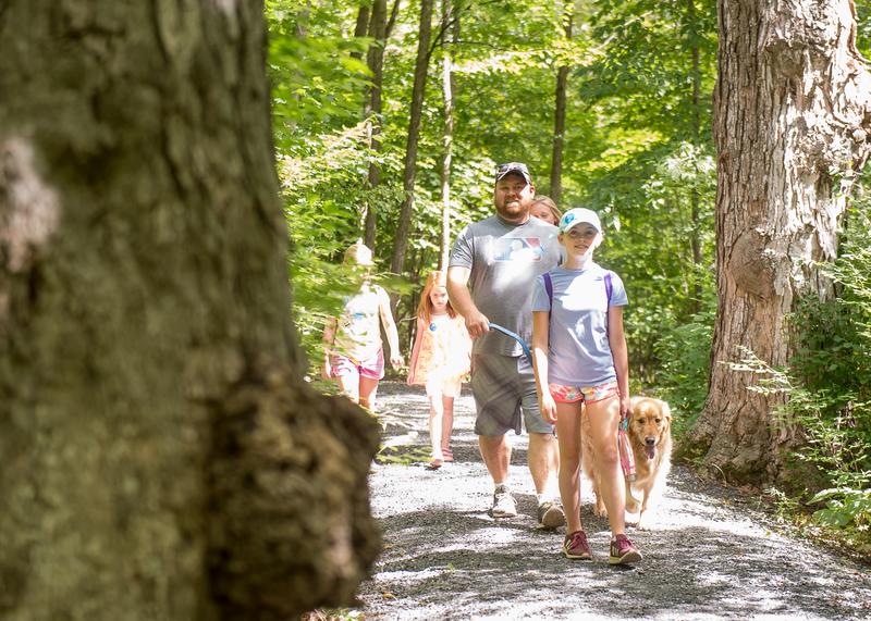 Family of five walking on a gravel path in the forest with a dog.