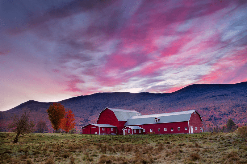 A glorious pink and purple sunrise acts as a backdrop for a red barn in an autumn setting.