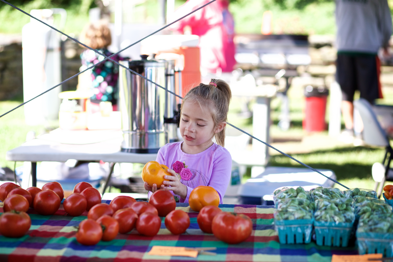 A child inspects a table of tomato's at the Randolph Farmers Market.