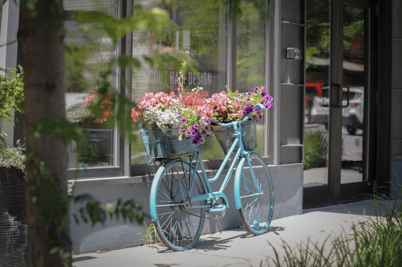 An old bicycle upcycled as flower-pot arrangement in front of a storefront.