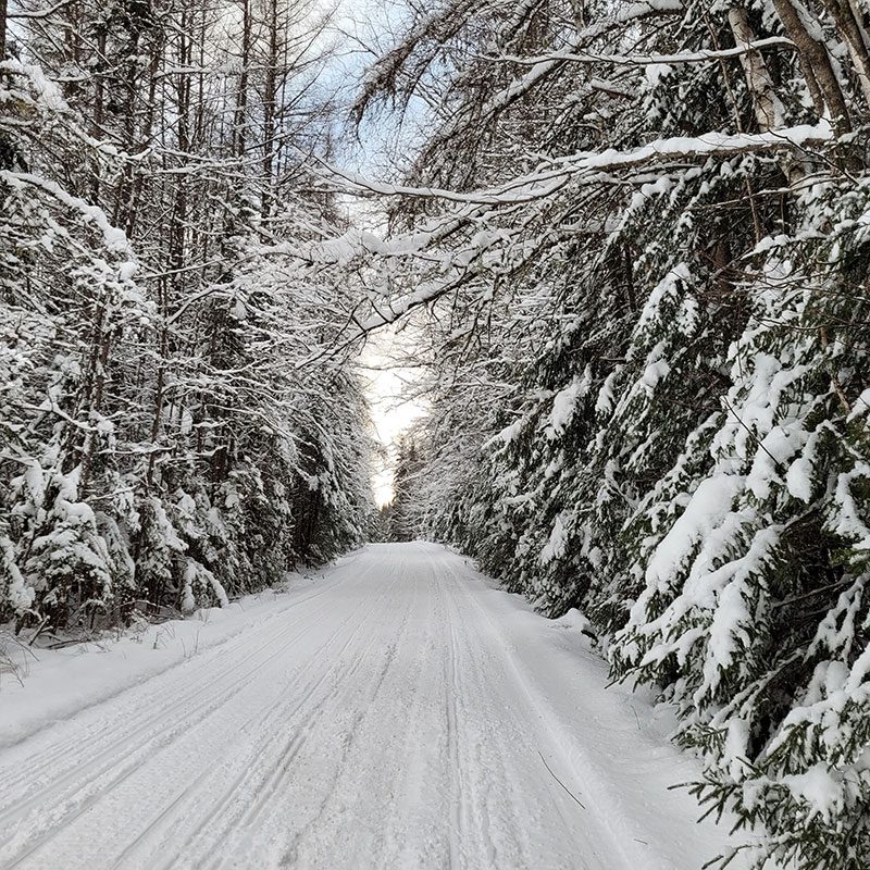 A groomed snowmobile trail in the winter with trees on both sides.