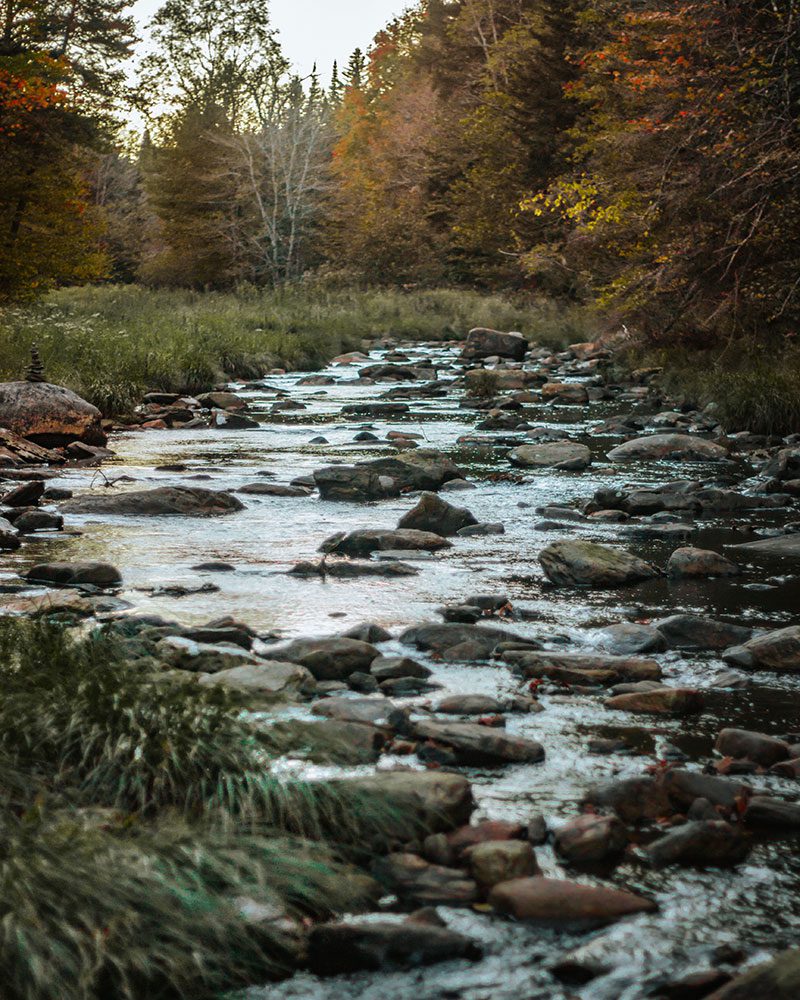 A shallow river flows along rocky terrain in the autumn.