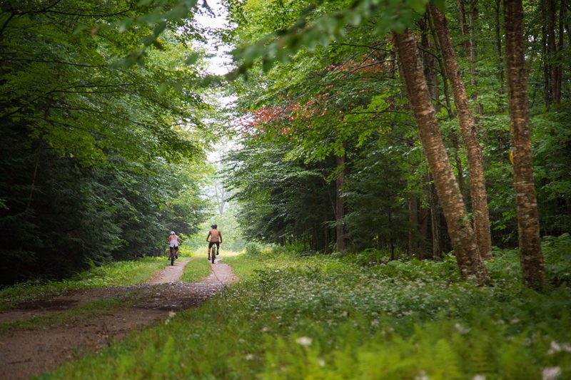 Two people ride bikes seen from behind on a trail outdoors in summer.