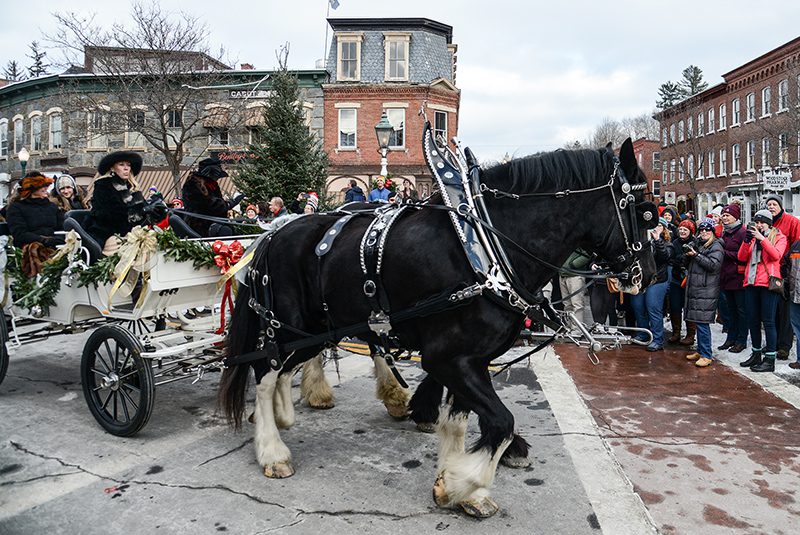 A large black horse pulls a carriage on a street with people crowded around.