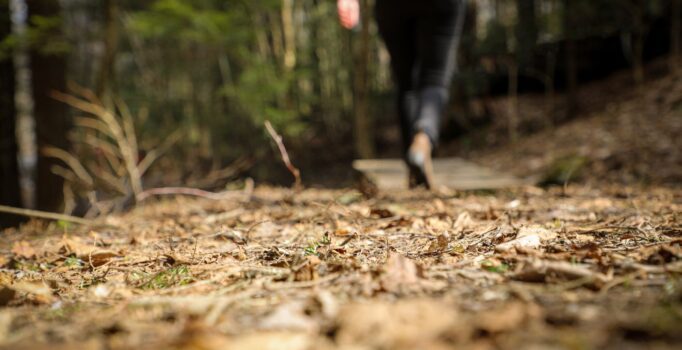 A person walks through the woods on a spring day.