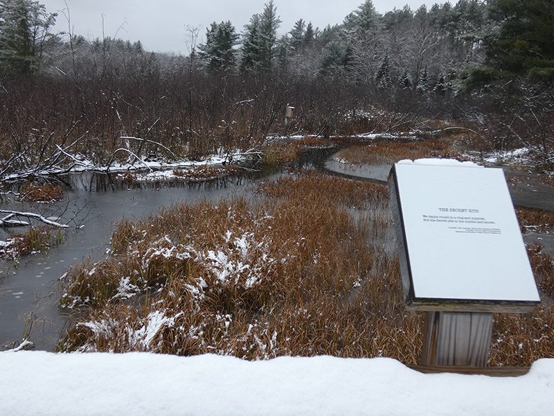 A small creek winds through woods in the winter and a placard sits in the foreground.