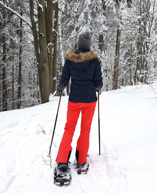 Seen from behind, a person is snowshoeing through the woods.