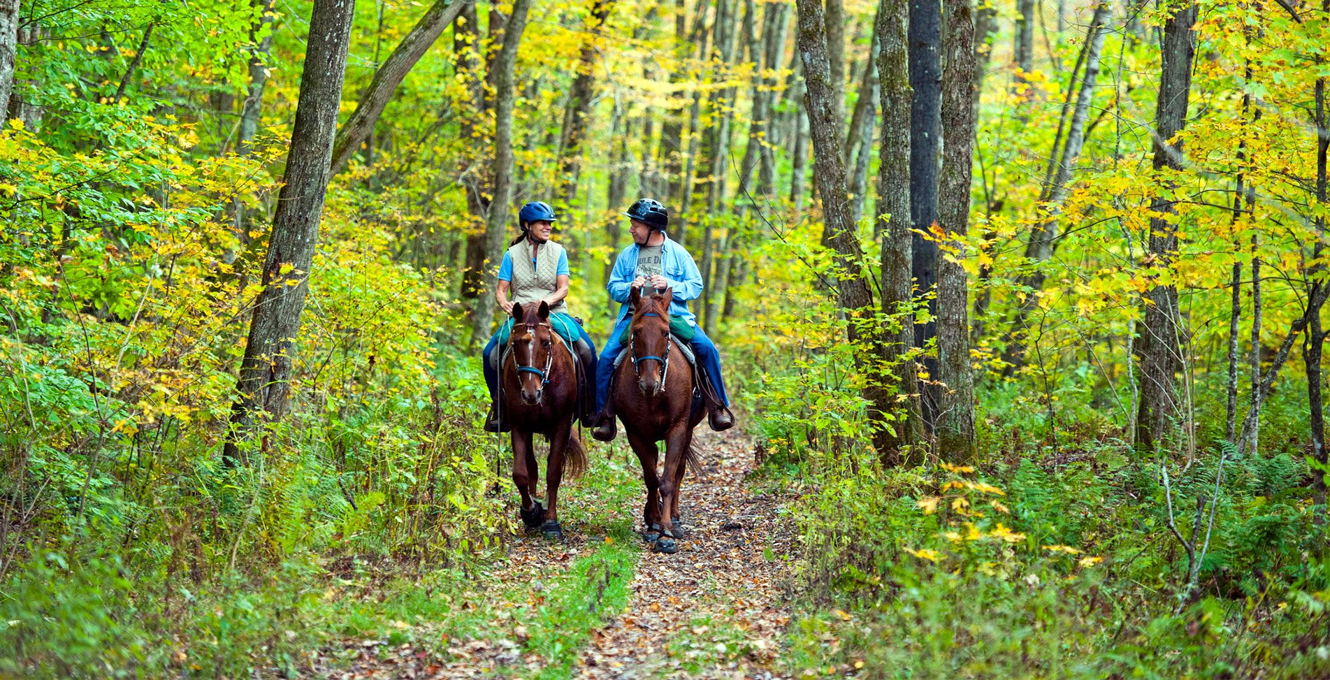 Scenic and Serene Horseback Rides at Lajoie Stables | Vermont Tourism