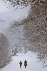 Two people seen from behind and afar walk on a snowy trail near woods.