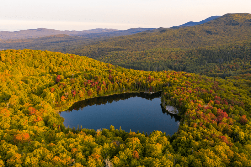 Seen from above, a lake surrounded by lush yellow and orange foliage. Mountain peaks sit in the background.