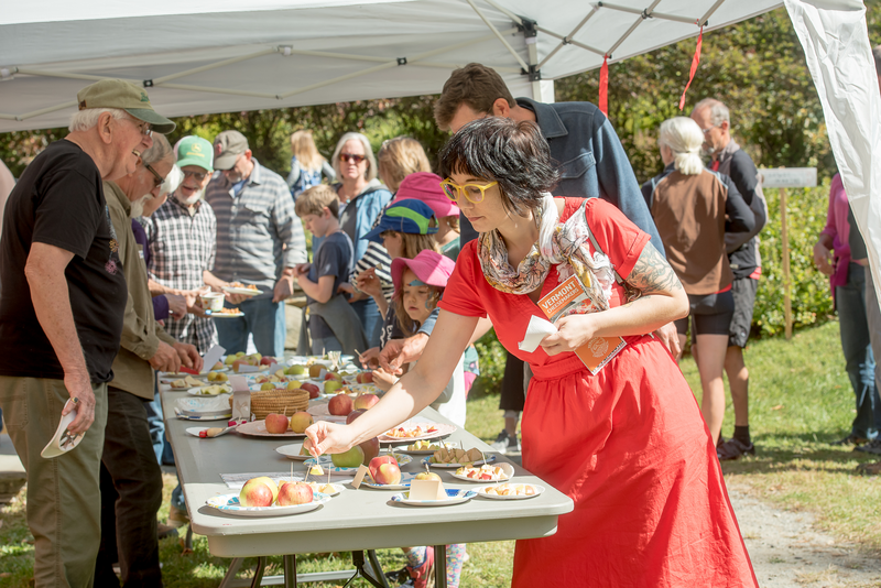 People visit tables displaying apples and cheese at an outdoor festival in the autumn.