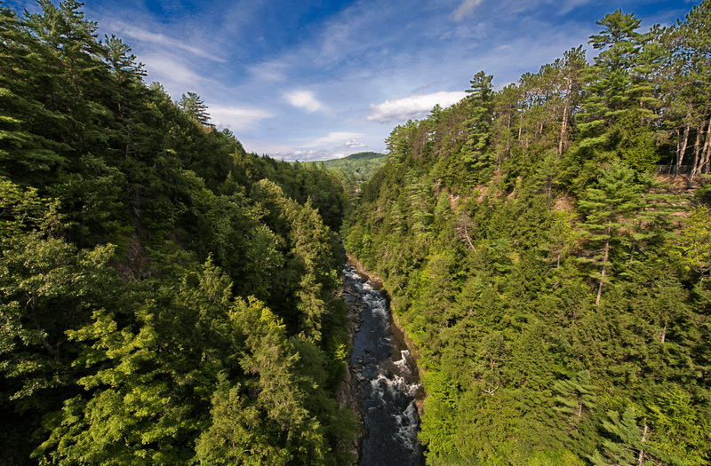 A river seen from a high bridge surrounded by trees.