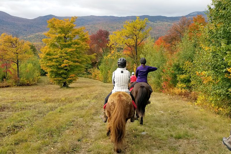 Seen from behind, a group of people ride horses through a field. Trees turning yellow and orange surround the horseback riders.