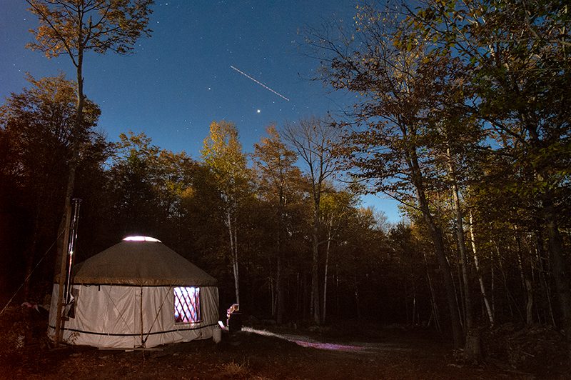 A yurt in a forest underneath a starry sky.