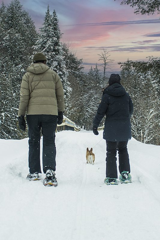 Seen from behind, two people snowshoe while walking a small dog. The sky has sunset colors.