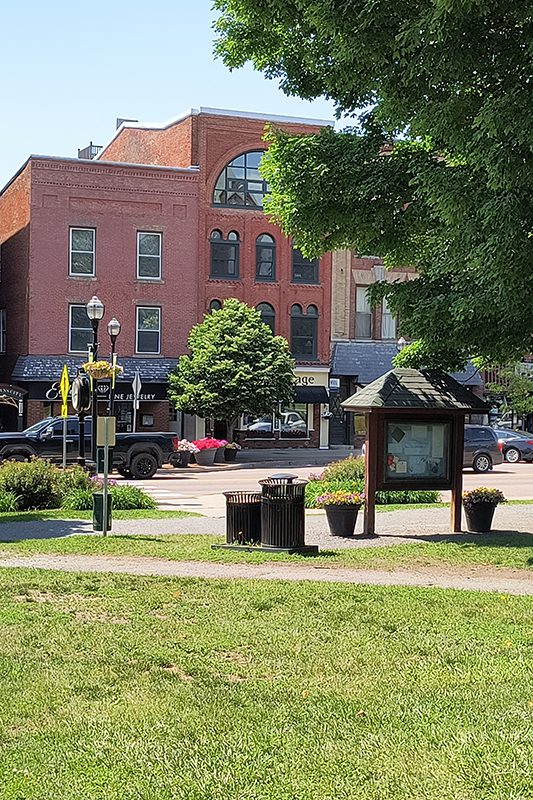 A view of downtown block with historic brick buildings, seen from a park.