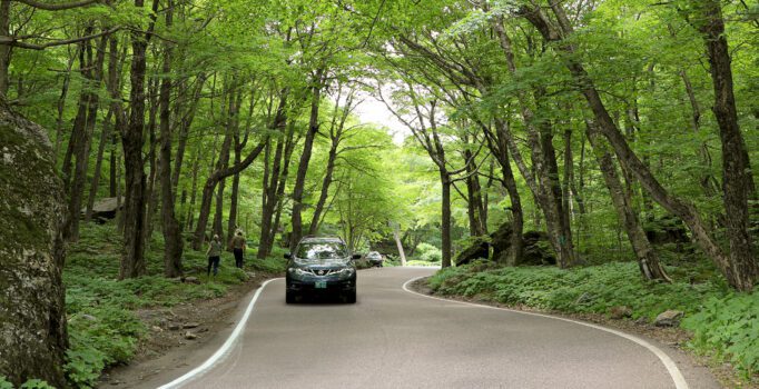 Cars travel along a windy road through trees.