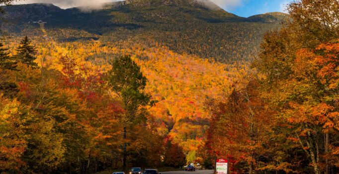 A vibrant autumn view in Vermont, with dense tree canopies showing bright orange, yellow, and red foliage frame a winding road through the mountainous landscape.