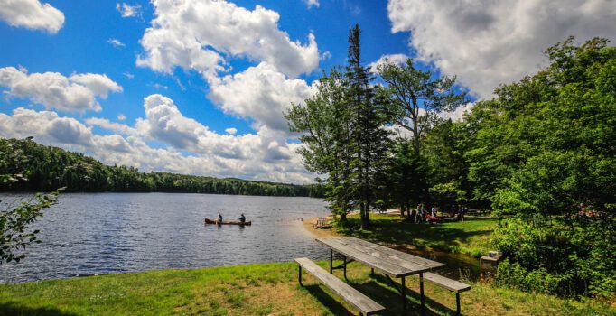 Two people canoe on a lake lined with lush green forest, while another group of people chat together on the grass.